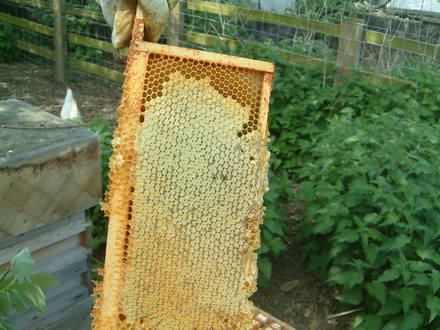 a capped frame