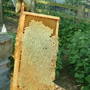 a capped frame