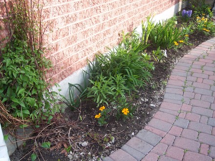 Front bed, left