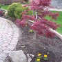 100_8297