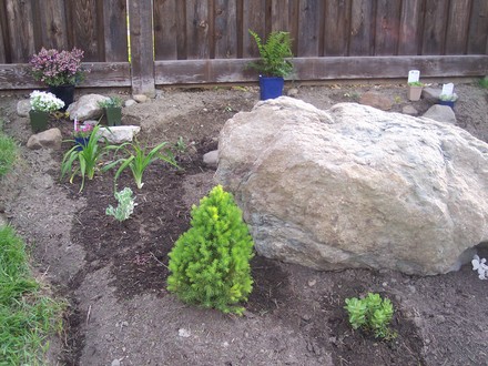 Filling in around the rock
