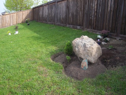The garden in progress