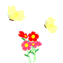 flower and flutterbys
