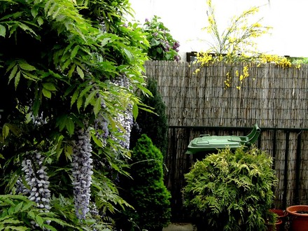 Terrace view