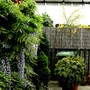 Pict1184