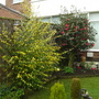 Dsc03098