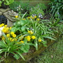 Dsc03136
