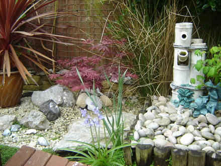 A garden flower photo