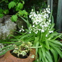 Dsc03141