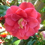 Dsc03145