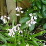 Dsc03146