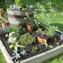 Herb Garden - May 2008