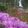 Front Garden - May 2008
