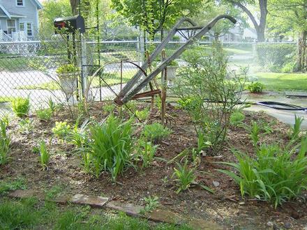 Front Garden - May 2008