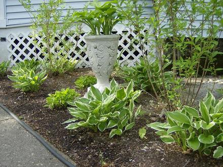 Front Garden - May 2008