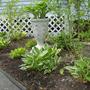 Pictures_9