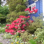 Pict0062