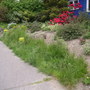 Pict0058