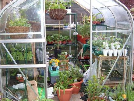 Greenhouse 