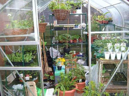 Greenhouse