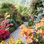 12_may_2008_upper_path