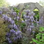 Dscn1699