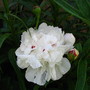 5-9-08_019