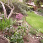 Southern edge of my back garden