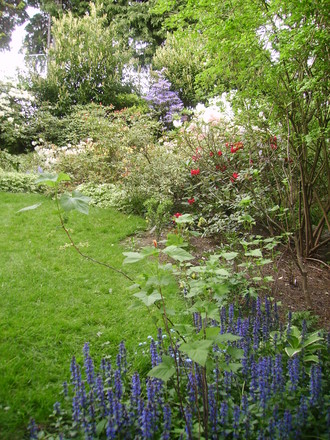 Eastern edge of the garden