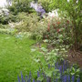 Eastern edge of the garden