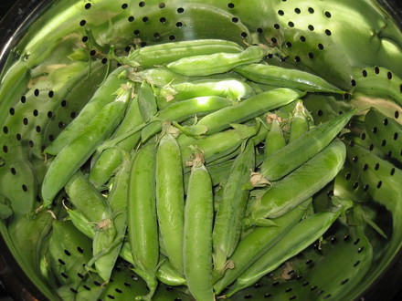 Peas