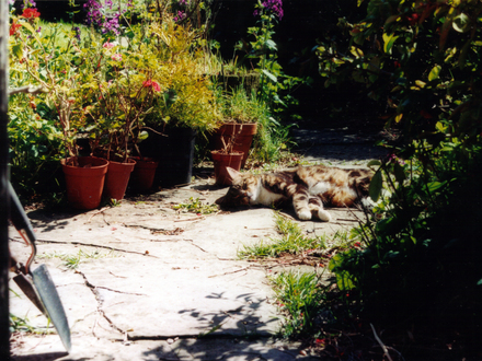 Just too hot to do anything