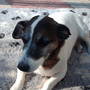 this is ben 
