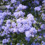 13_mayo8_008