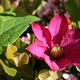 May08_006