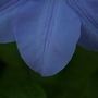 May08_008