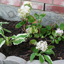 May08_026