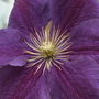 20080513_04