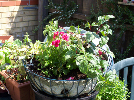 Baskets1.jpg