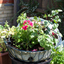 Baskets1.jpg
