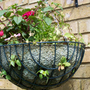 Baskets2.jpg