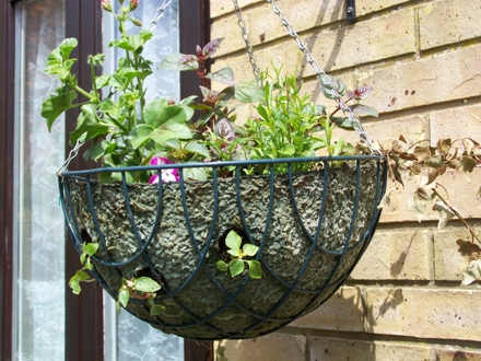 Baskets4.jpg