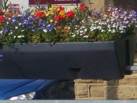 summer display