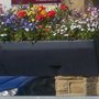 summer display