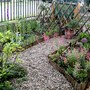 Current view of 2 of the beds in our front garden