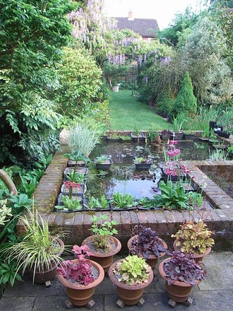 Back garden - May 2008