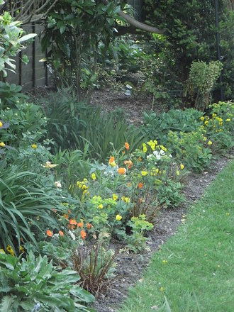 Yellow border - May 2008