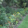 Yellow_border
