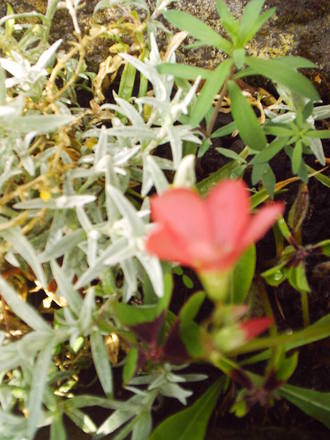 10_may_front.jpg