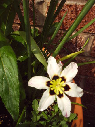 10_may.jpg